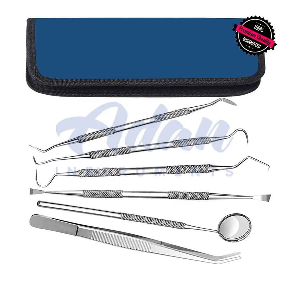 Wholesale Factory Prices 6 Pieces Dental Examination Kit of Dental Mirrors, Scalers, Forceps, scrapers in Carry Case