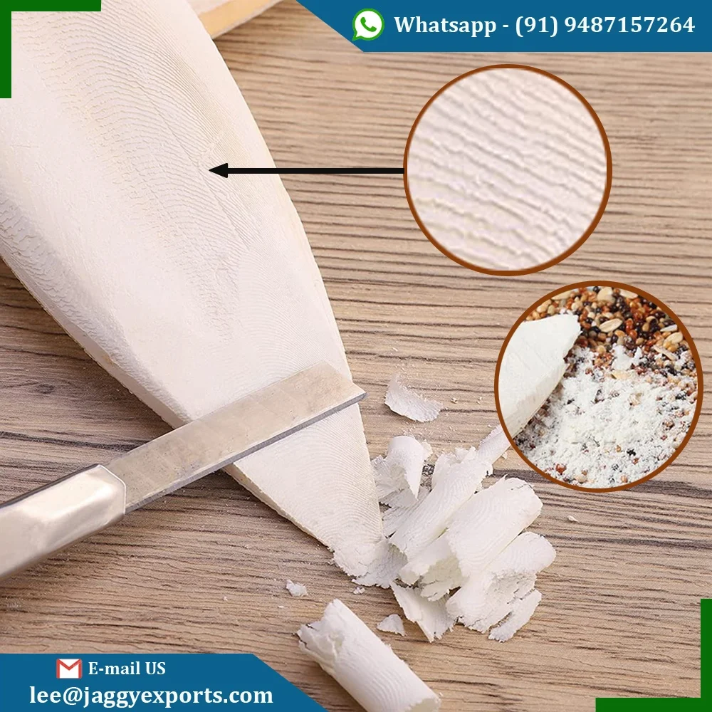 Cheap Price High Quality 100 % Natural Cuttlefish Bone Wholesale Manufacture