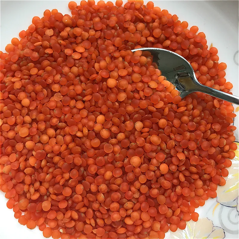 lentils  (4).jpg