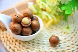 High Standard and High Quality Roasted Macadamia Nuts From Vietnam Crunchy and Flavorful Dried Nuts