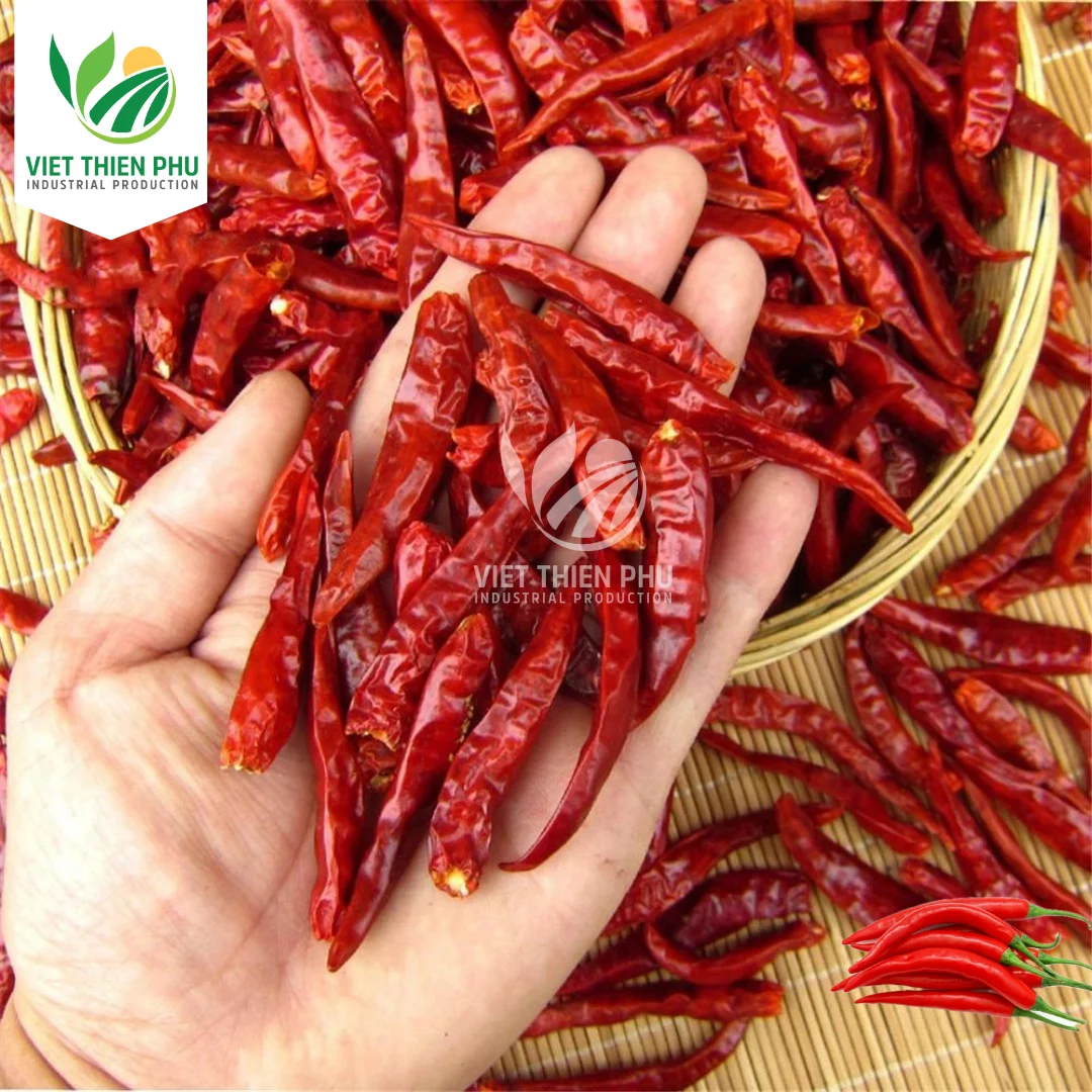 VIET THIEN PHU-Dried Red Chili Single Spices Chilli High Quality Top Product Of Vietnam