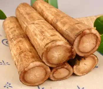 Fresh Burdock  5.jpg