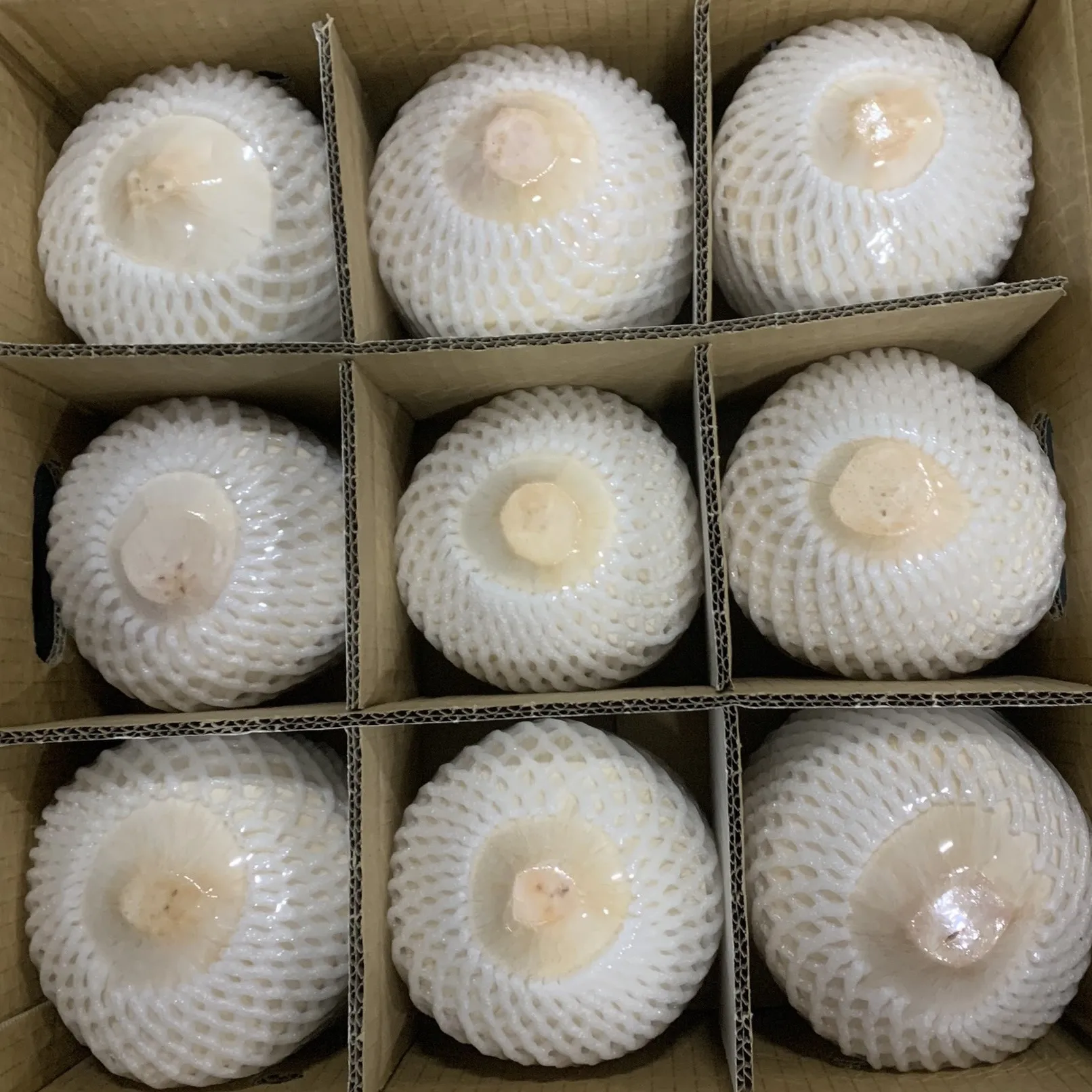 Wholesale High Quality Cheap Price FRESH YOUNG COCONUT From Viet Nam