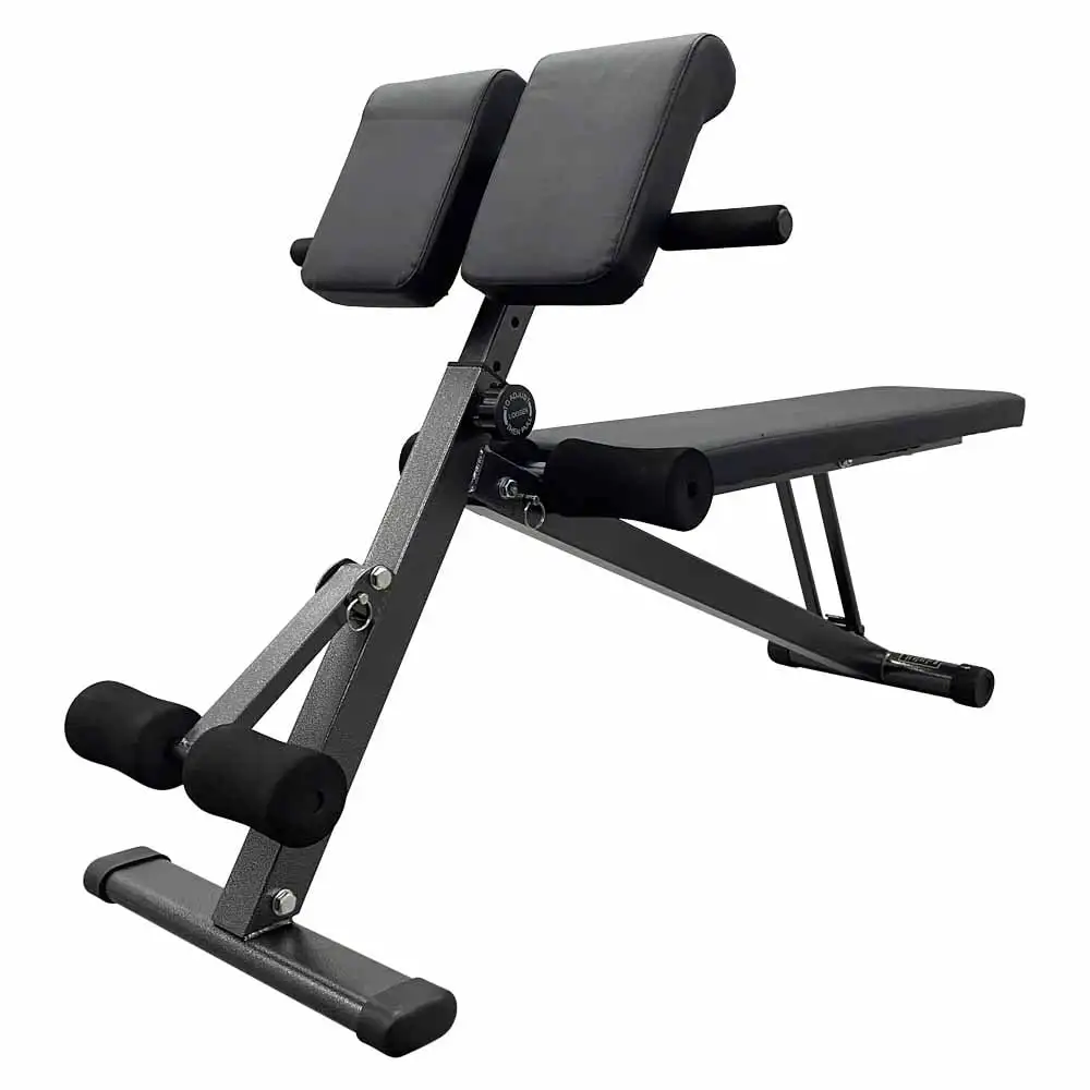 Gym Multi Functional Dumbbell Stool Fitness Chair Back Extension Training Roman Bench Exercise Equipment