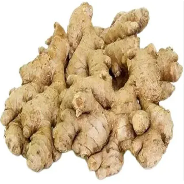 High quality dried fresh ginger market price per ton wholesale Ginger buyers for export Ginger