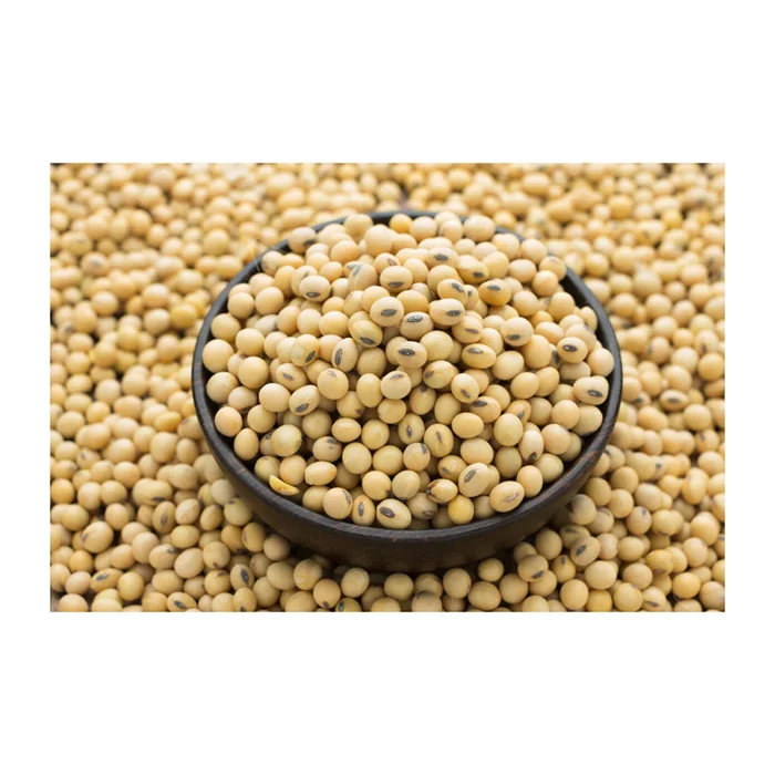Европейский лучший сорт NON GMO соевые бобы по низкой цене