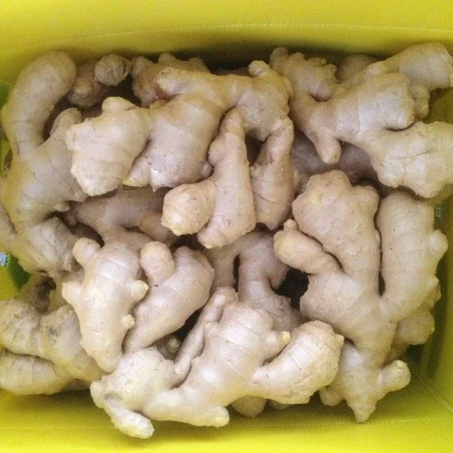 Fresh Ginger Organic Ginger Made in Viet Nam Export Vegetable Wholesale