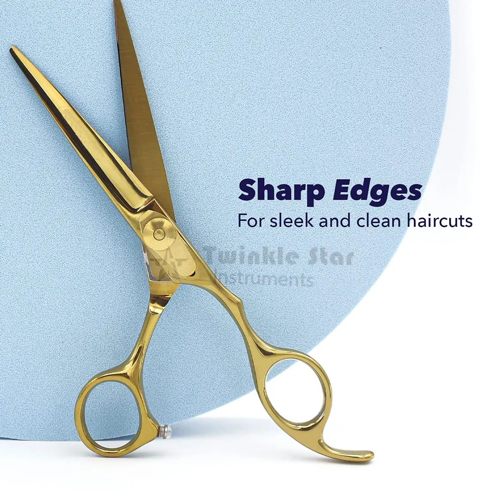 Professional Hair Scissors 6 Inch Hairdressing Scissors for Salon and Home Japan Silver HRC OEM Customised Steel Stainless Style