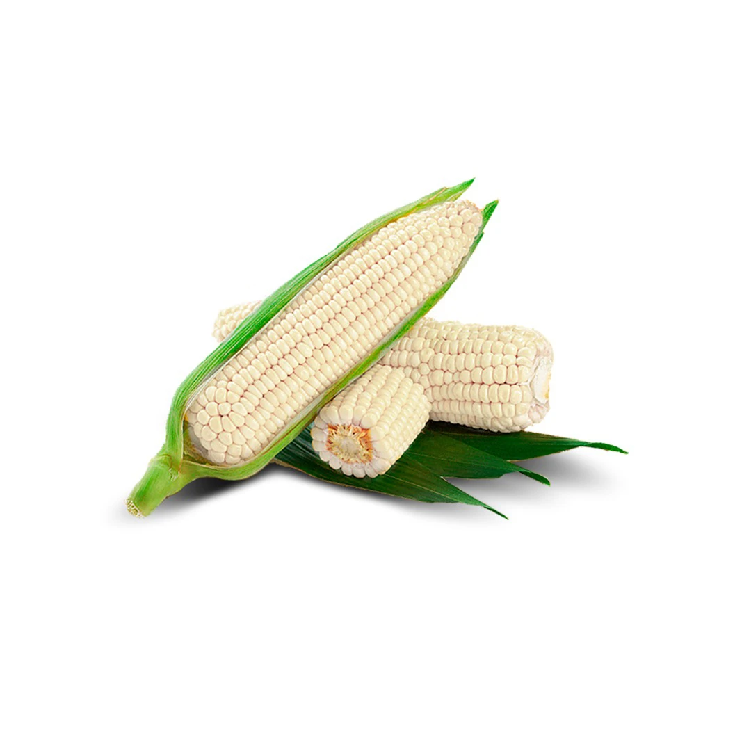 Сушеная белая кукуруза пригодная для потребления человеком и животных