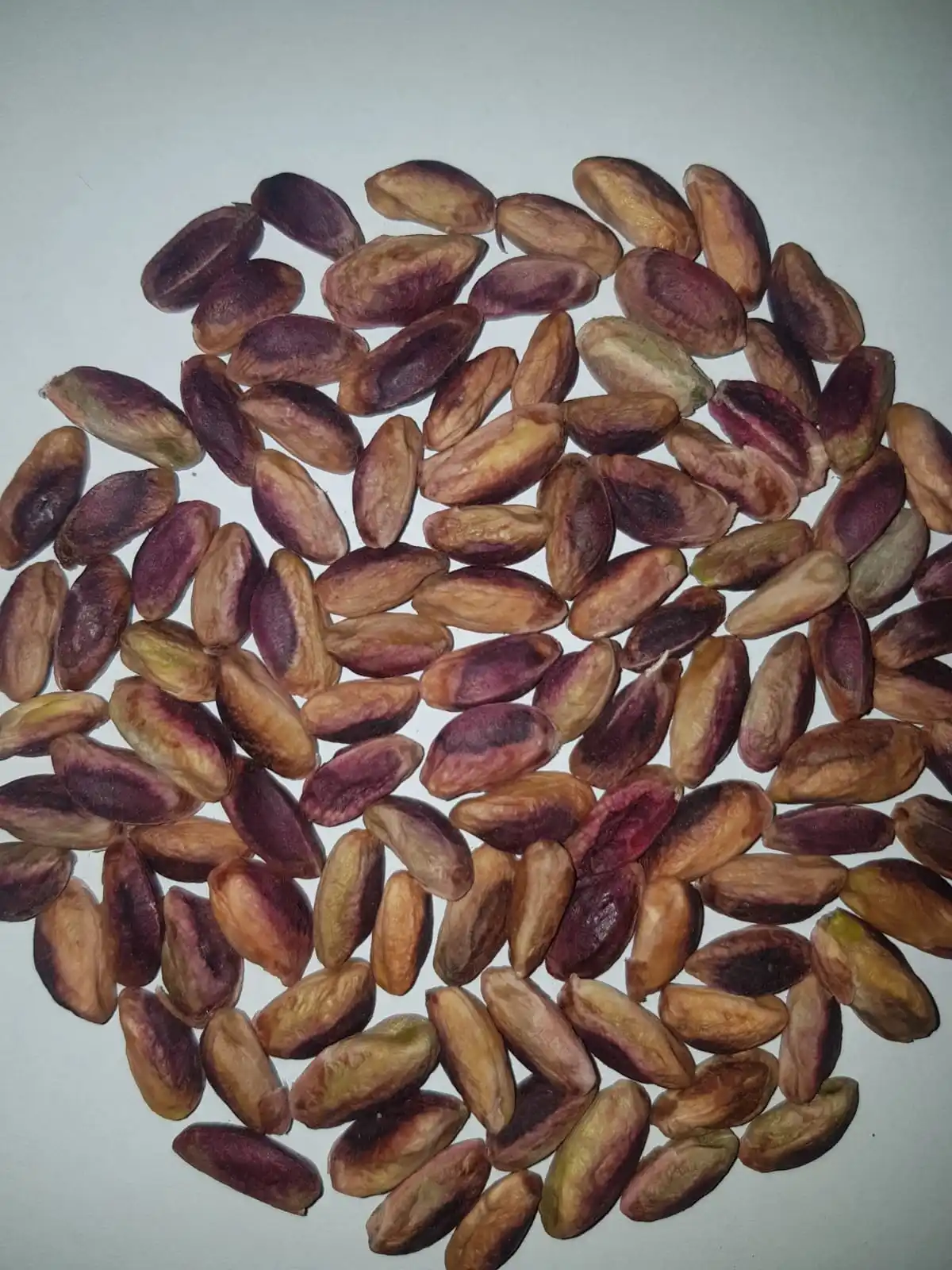 Bulk New Harvest Best Quality -Shelled Roasted and Salted Pistachio Nuts - FROM TURKEY