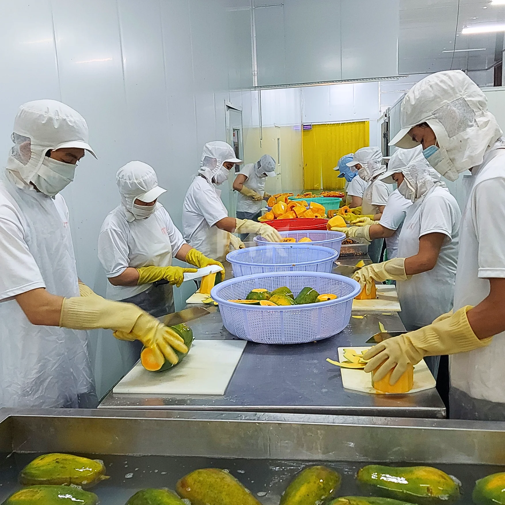 Trending 2023 YELLOW/RED PAPAYA PAWPAW PAPAW Canned in Syrup of HTK Food factory from Vietnam used for Food & Beverage