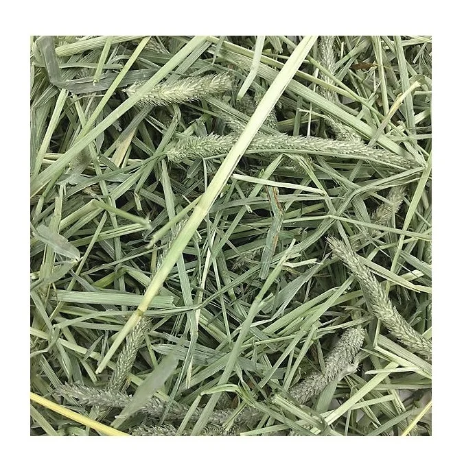 Thailand Alfafa Hay Animal Feeding Stuff Alfalfa hay/alfalfa hay pellets Timothy Hay/ Alfafa in Bales Best Super Top Quality