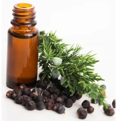 2023 Top Selling Expert Quality 100% Natural and Pure Juniper Berry Seed Extract Essential Oil at Wholesale Price
