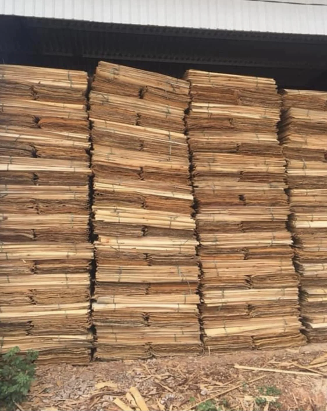Wholesaler Acacia/eucalyptus/rubber Core Veneer A/B Quality  Best Price from Vietnam Plywood