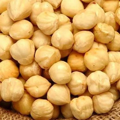 Hazelnut Style Packaging Organic Raw Origin Type Bakery High Dried Wholesale Quality Turkish Hazelnut AGROWELL TURKISH GOODS