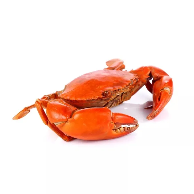 Factory Price New Arrival Wild Caught Frozen Alaskan King Crab King Crab In USA Style Packaging Weight Muscle Red King Crab