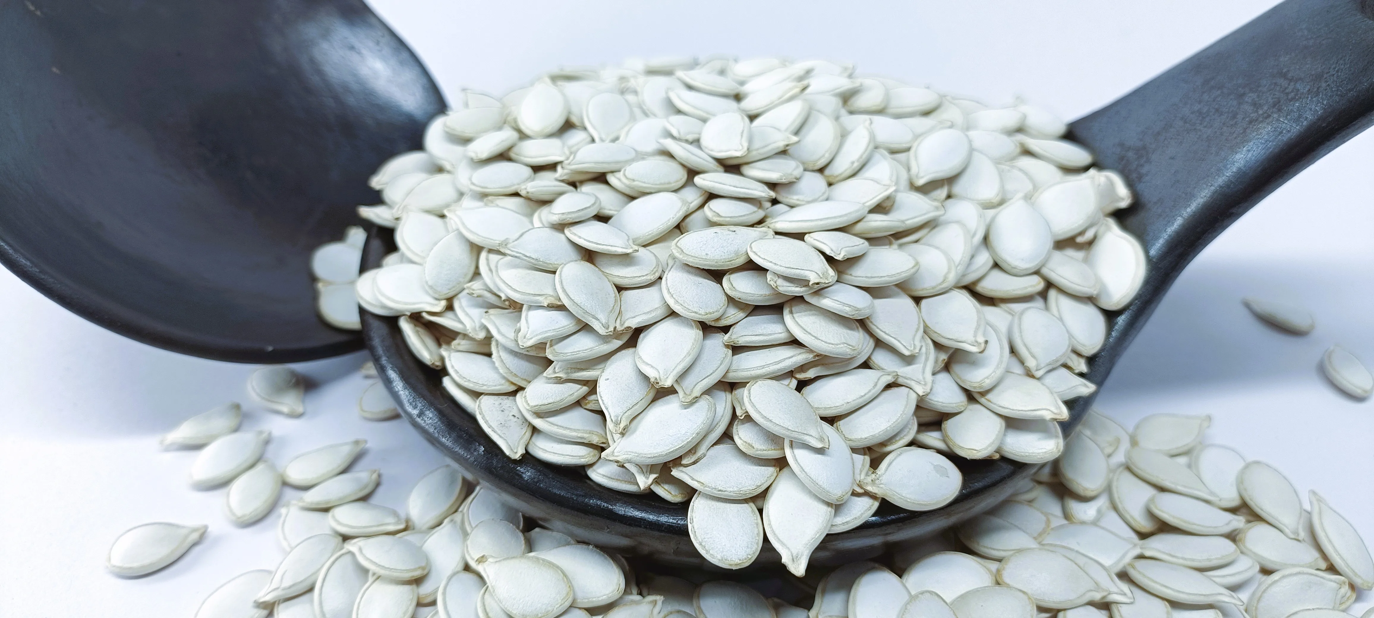 Bulk Quantity Available Premium Quality Ethiopian White Pumpkin Seeds, Low Moisture, Handpicked & Polished Export Standard
