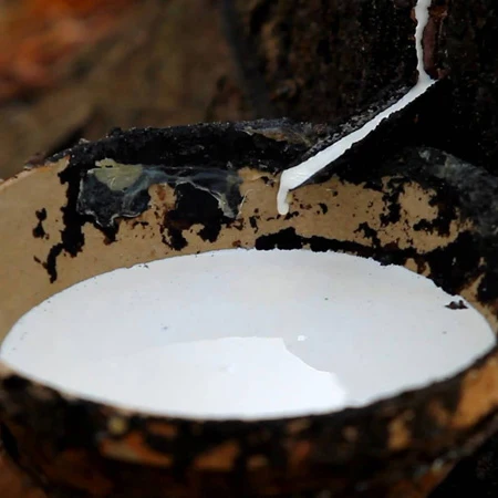 Латекс ха/ла ДРК | Вьетнамский натуральный каучук | Сырье | Для производства матрасов/клея/воздушных шаров | Цена производителя