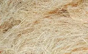 Hot Selling Organic Coconut Coirs Whitefibre The Outer Husks Of Coconut From Indian Coconut Industry Unbelivable Price Dealers