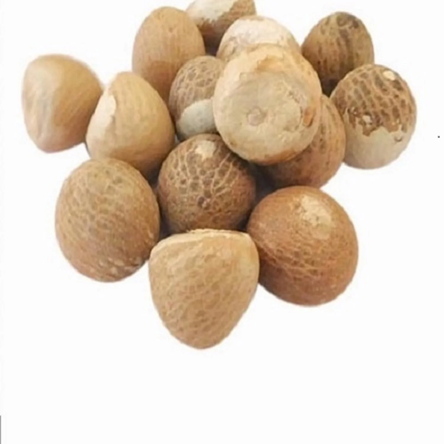 Hot Sale New Crop Turkey Betel Nuts Dried Betel Nut Betel Nuts (11000003693058)