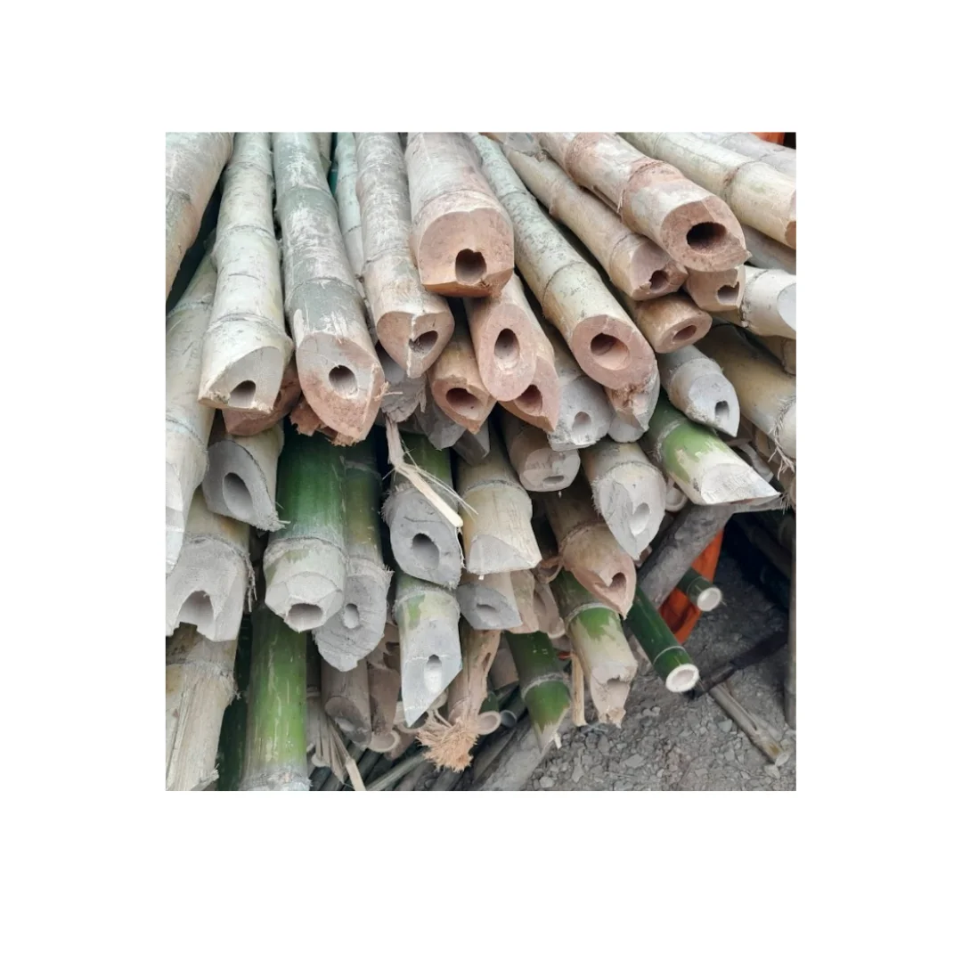Bamboo Poles 100% Natural Customize Length and Diameter Sale With Factory Direct Price Best Use for Garden Farming Purpose