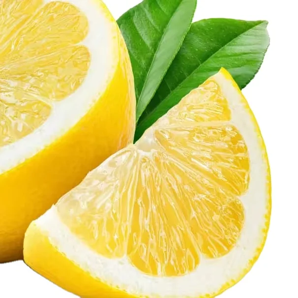 Fresh Lemon Fruits Top Sales Natural Citrus from Egypt Best quality wholesale Lemon Citrus Premium Quality Lemon for sale