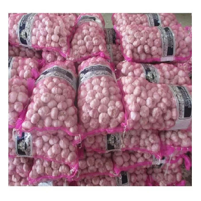 Wholesale white garlic fresh garlic with good price