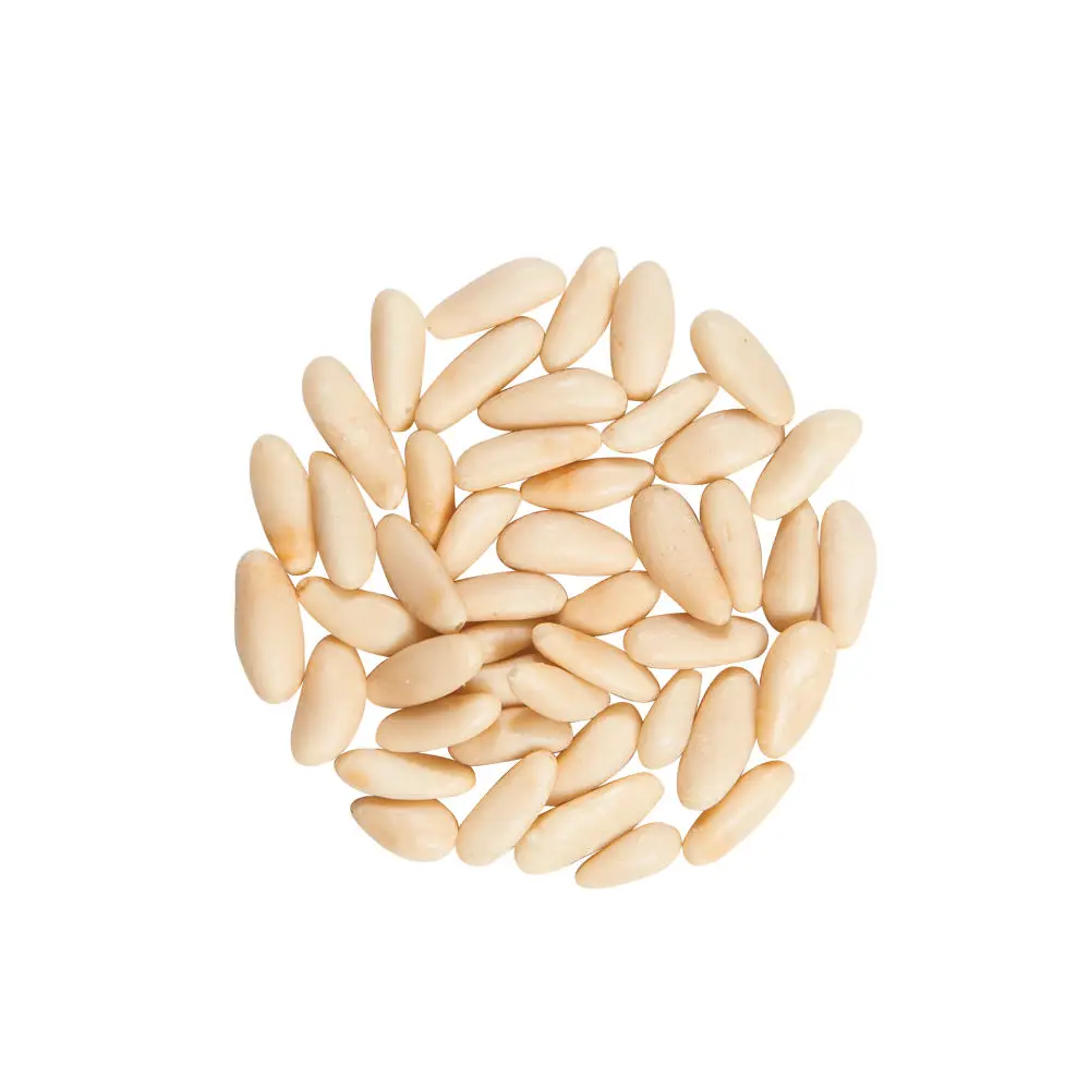 High Grade Pine Nuts Seed Brazil Pine Nuts in Shell Pine Nuts For Wholesale