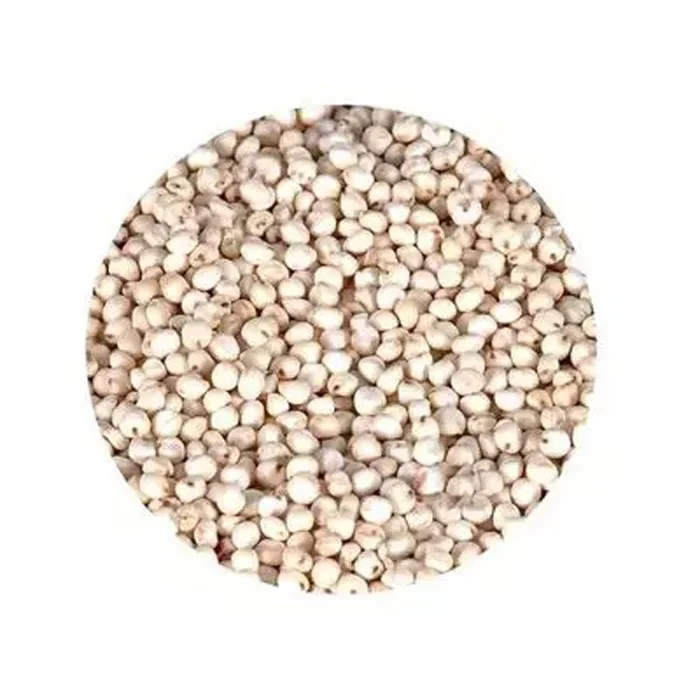 Food Grade Quality Agricultutal Product Bulk High Nutrition Natural Grains Raw Red White Sorghum For Sale