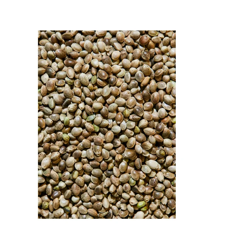Buy Cheap Hemp Seeds Online Fresh and Nutritious Perfect for Smoothies Baking and Healthy Snacks Available in Bulk
