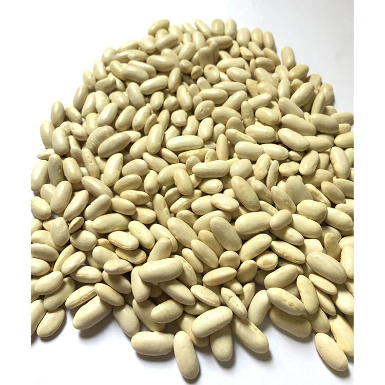 Dried and Raw Dark Red Kidney Sugar Bean for sale Thai Suppliers