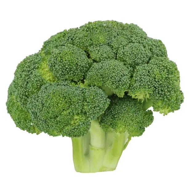 Healthy And Natural Broccoli 2022 Hot Sale High Quality No Frozen Green Fresh COMMON Cultivation Broccoli From Bangladesh