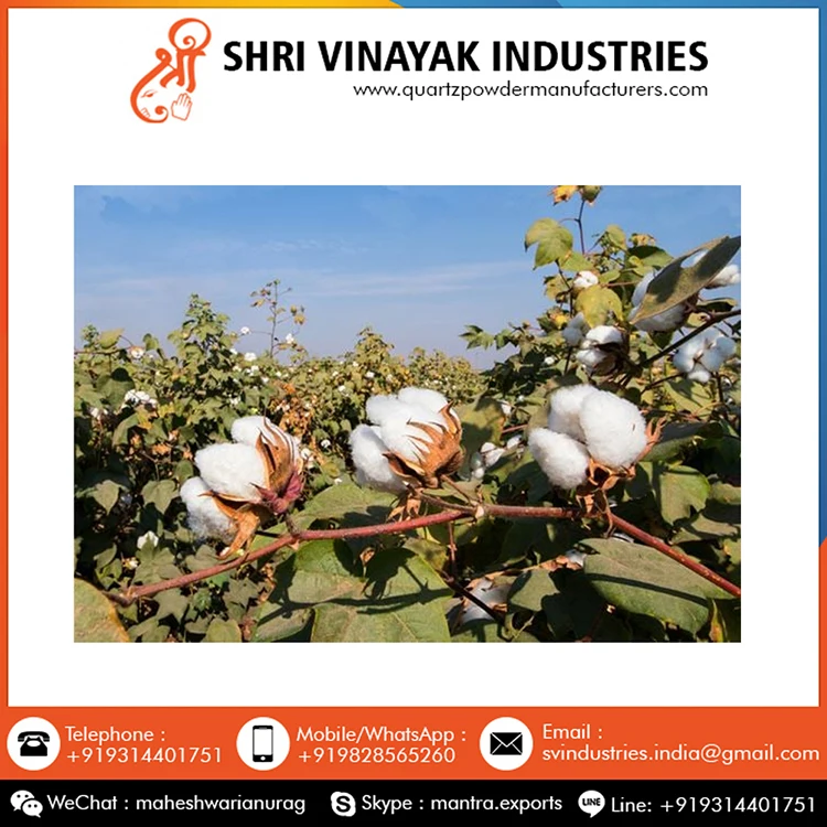 Top Quality Exclusive Deal on 100% Pure Cotton Raw Wholesale Bulk Export From Indian
