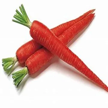 Fresh and Natural Red Carrots with Premium Quality Available at Wholesale Price