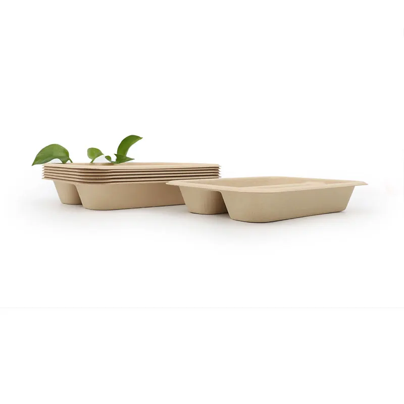 Biodegradable 1/2/3 compartment Eco Friendly Bamboo pulp Disposable Takeaway Paper Plates food tray
