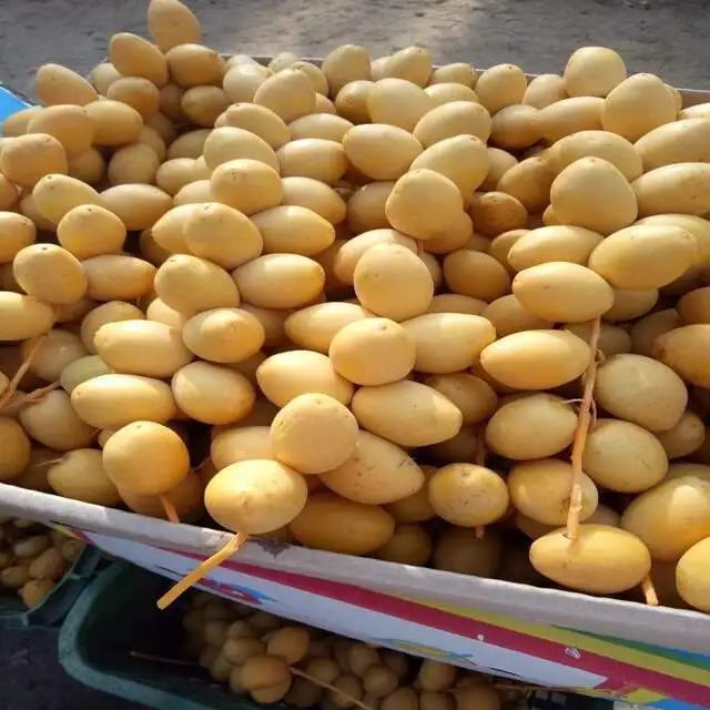Fresh date ,Wholesale Price