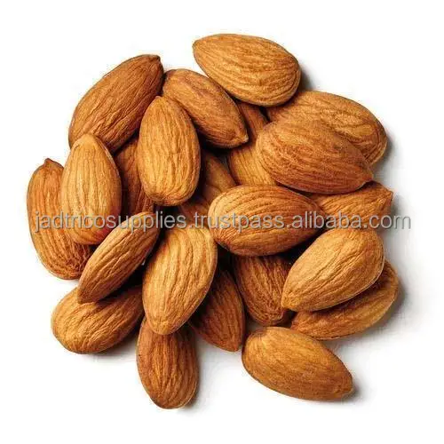 almond-nut-500x500.jpg