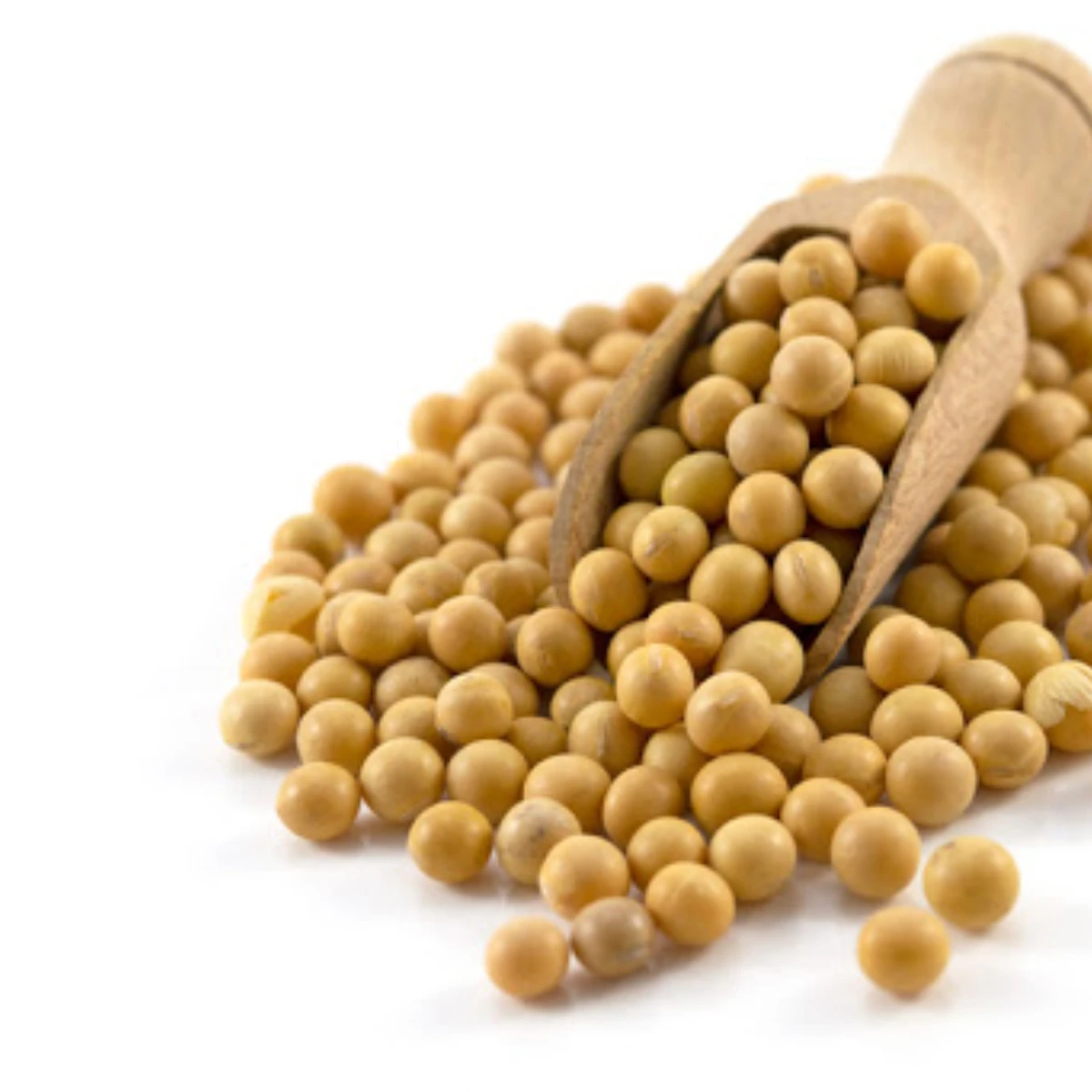 Wholesale Soybean Soya Bean Organic Non GMO High Protein Yellow Beans Buy in Stock Fast Delivery