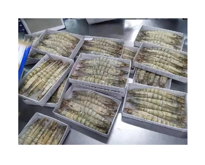 Black Tiger Shrimp Fresh 100% High Quality Export