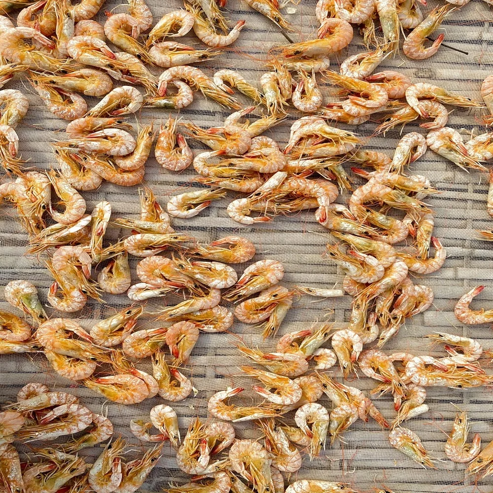 Best Selling Good Quality Air Processing Skinless Seafood Traditional 5 months Shelf Life Ca Mau Dried Shrimp from Vietnam