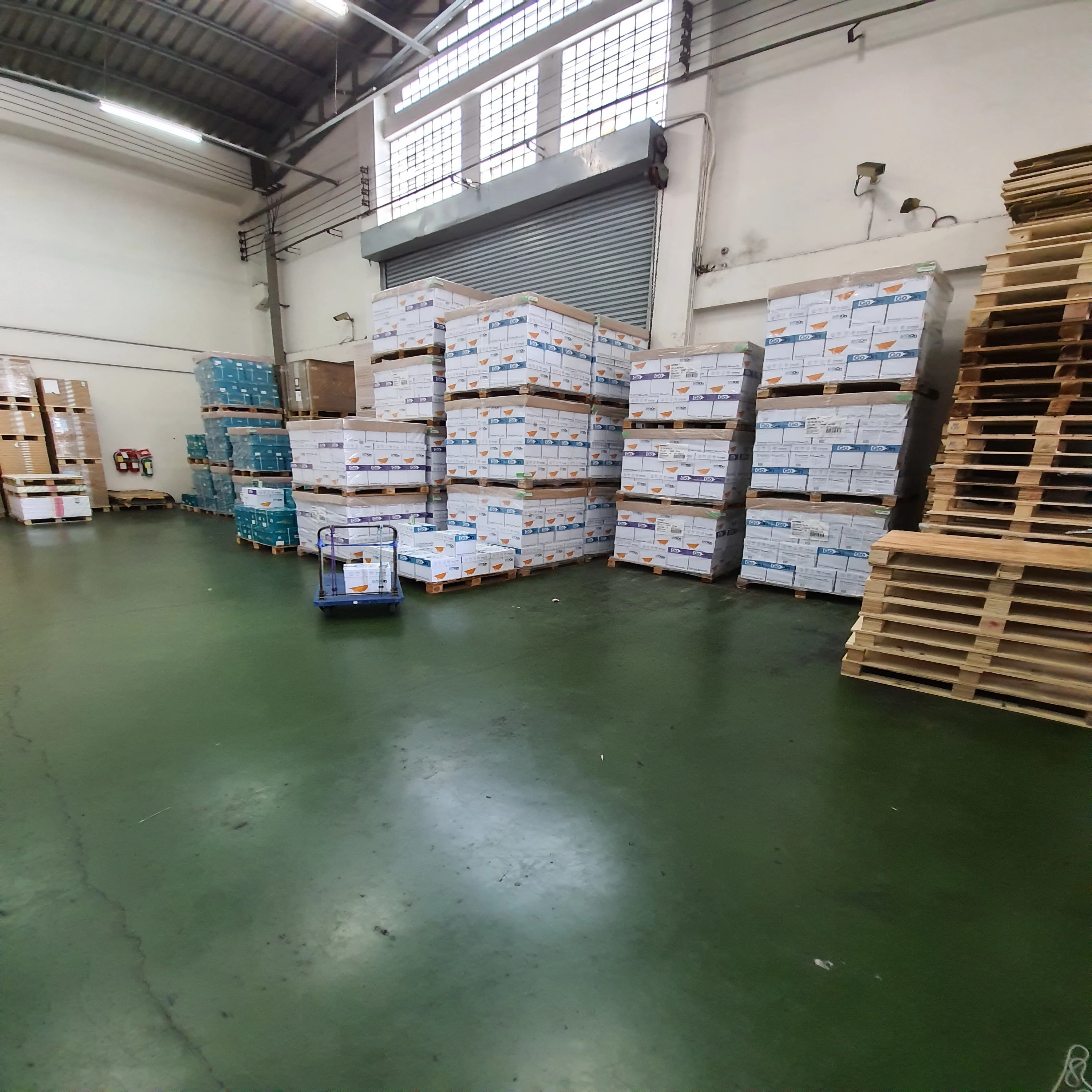 A4 80g Color Copy Paper OEM Wood Gsm Packing Letter Pulp Legal Weight Material Sheets Virgin Origin Type Certified Size Place