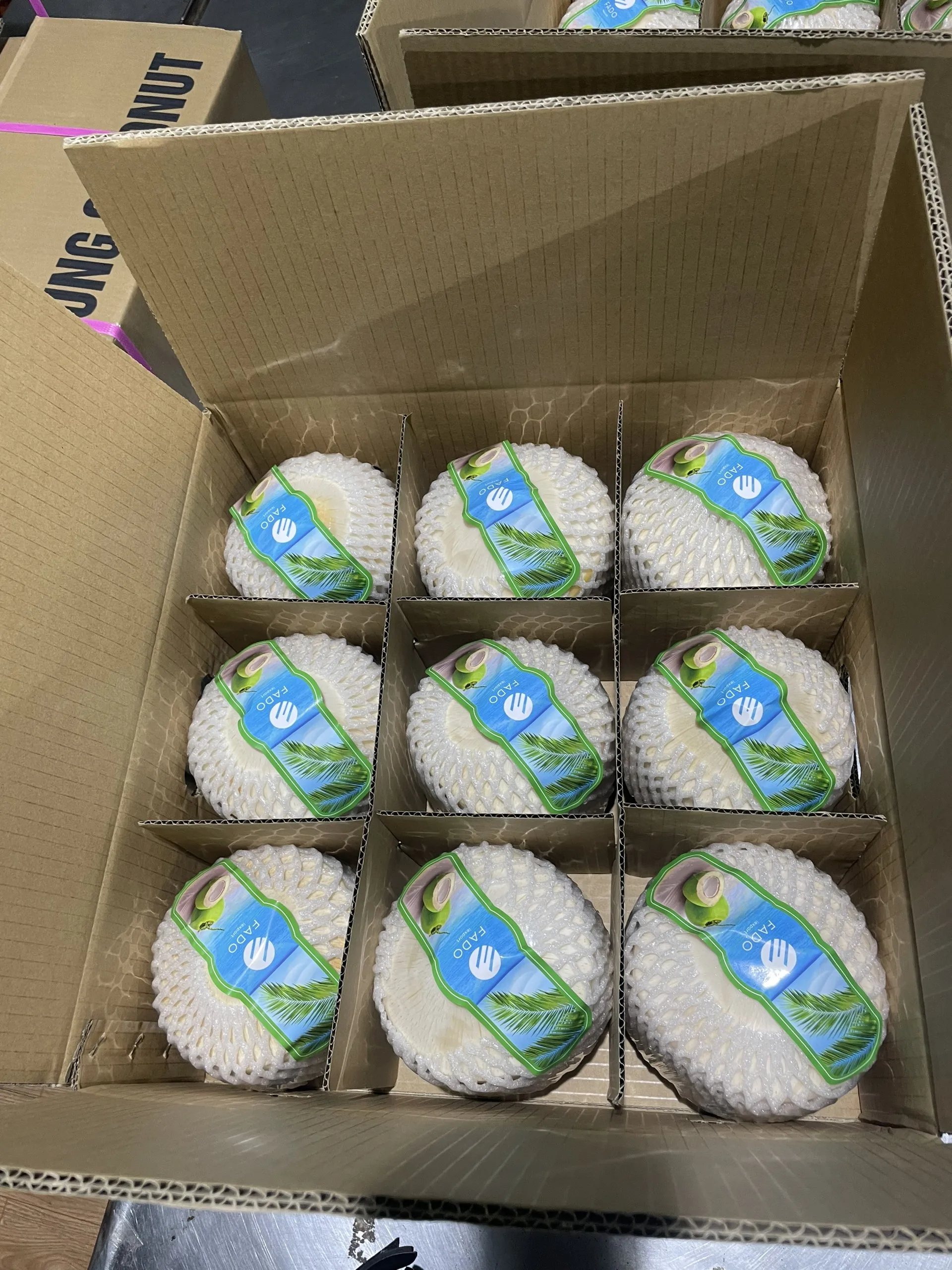 Wholesale Price Available Fresh Water Diamond Cut Coconut Natural Brown Color 1 Month Shelf Life Made In Vietnam