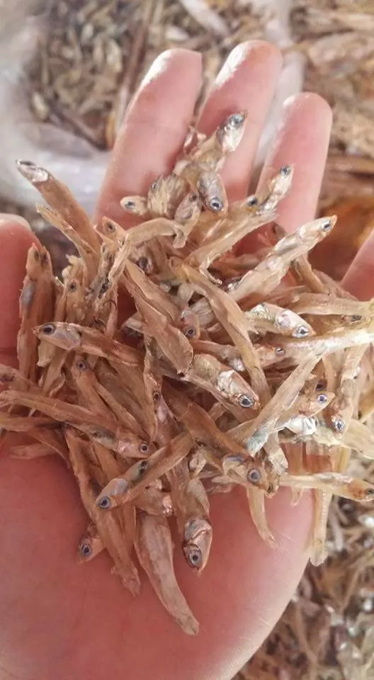 TOP PREMIUM REFINED DRIED ANCHOVY FROM THE RIVERS