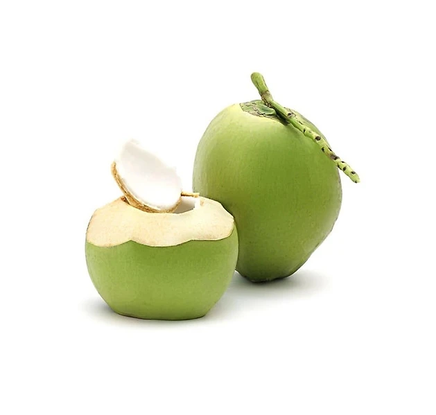 Fresh Ready to Ship Young Coconut Aromatic Diamond Cut Green Fresh Coconut From Vietnam Best Price Wholesale