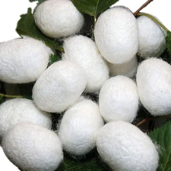 Ecofriendly Silk Cocoon For Skicare and Face / Silkworm Vietnam For Cosmetics