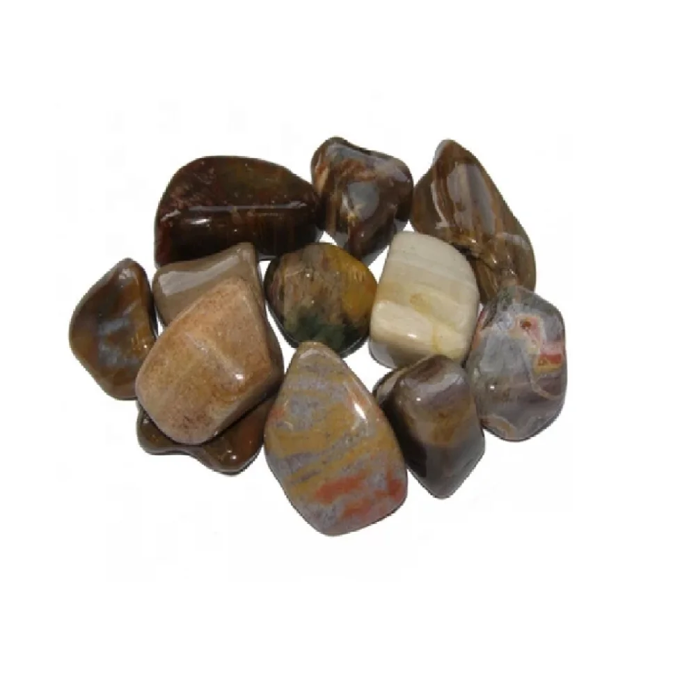 stone tumbled Petrified natural crystal tumbled healing bulk pebble agate Gemstone chakra petrified wood stone wholesale bulk