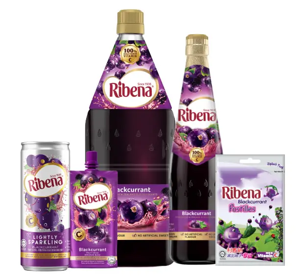 [Hot Deal] Flavorful Blackcurrant Juice with Innovative Taste Ribena RTD Pet Bottle Light 24 x 450ml