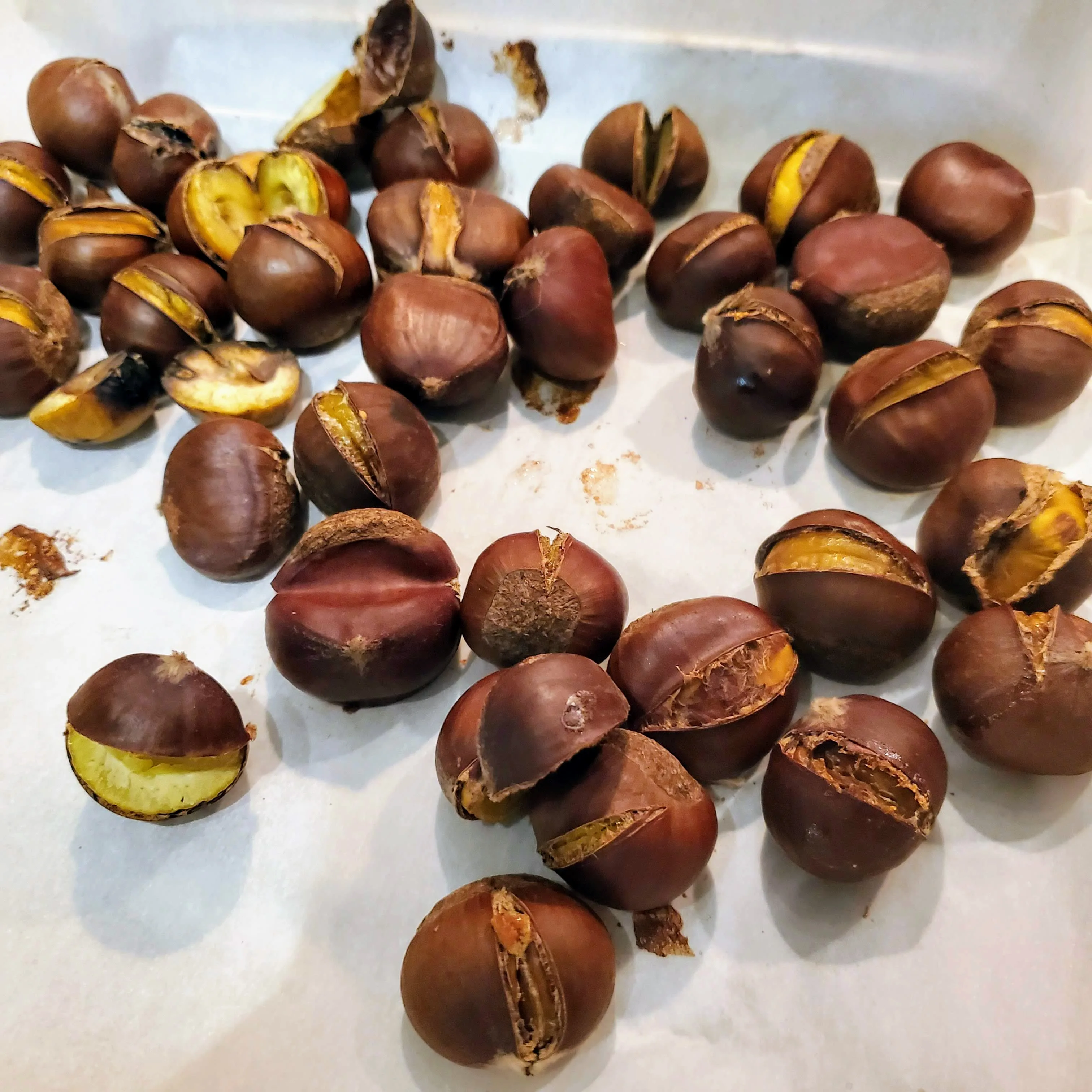 Chestnut for sale at wholesale price
