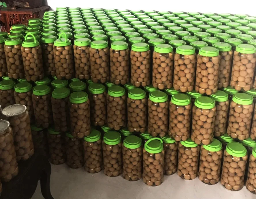PRESERVED LEMON SALTED LIME PICKLED LEMON FOR EXPORT MADE IN VIETNAM