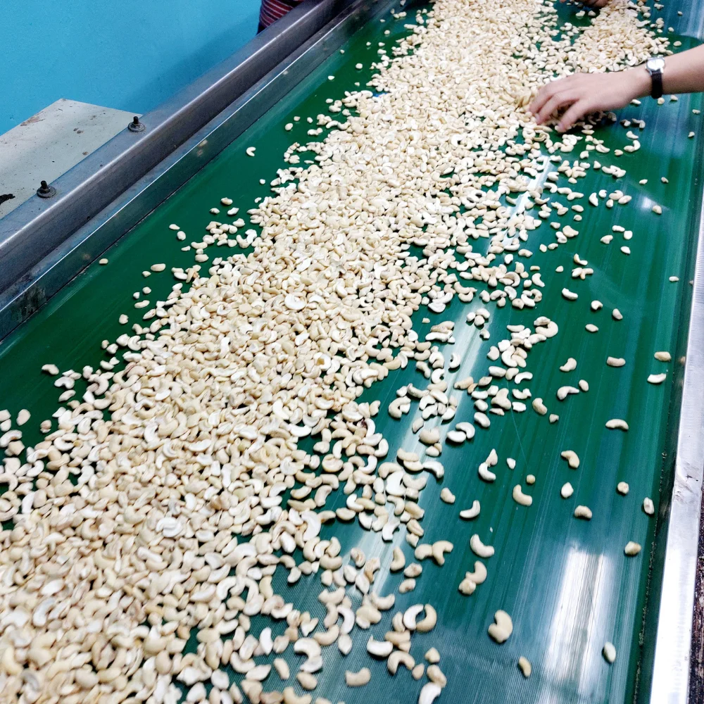 Wholesales Vietnam Cashew Nuts W320 W240 Cashew Nuts Cashew Nuts OEM, ODM, W/A +84932.028019